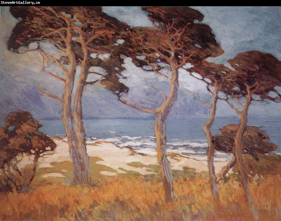 Marry DeNeale Morgan Cypress at Monterey